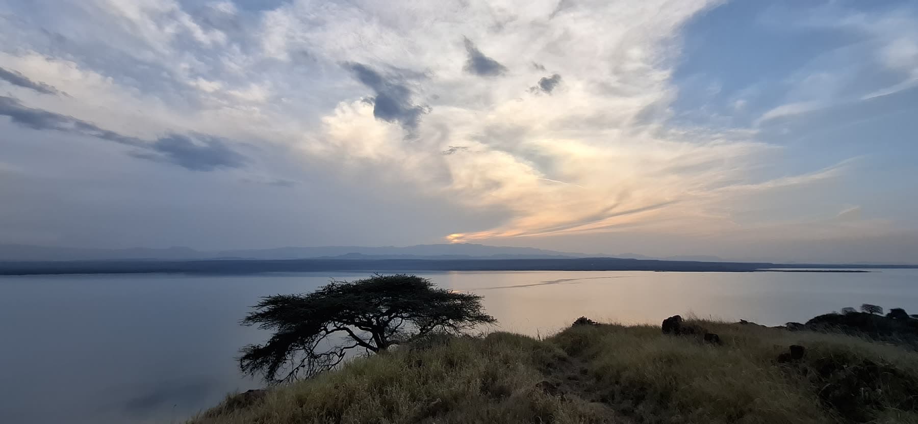Sunset over Lake Baringo with an acacia tree silhouette