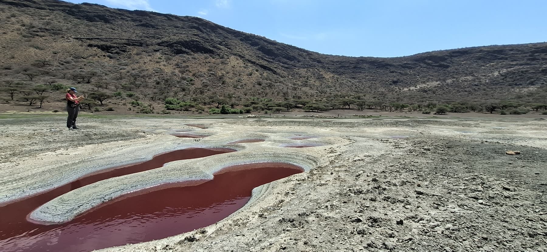 The red, toxic pools of the Markato crater beside clear goat-watering holes