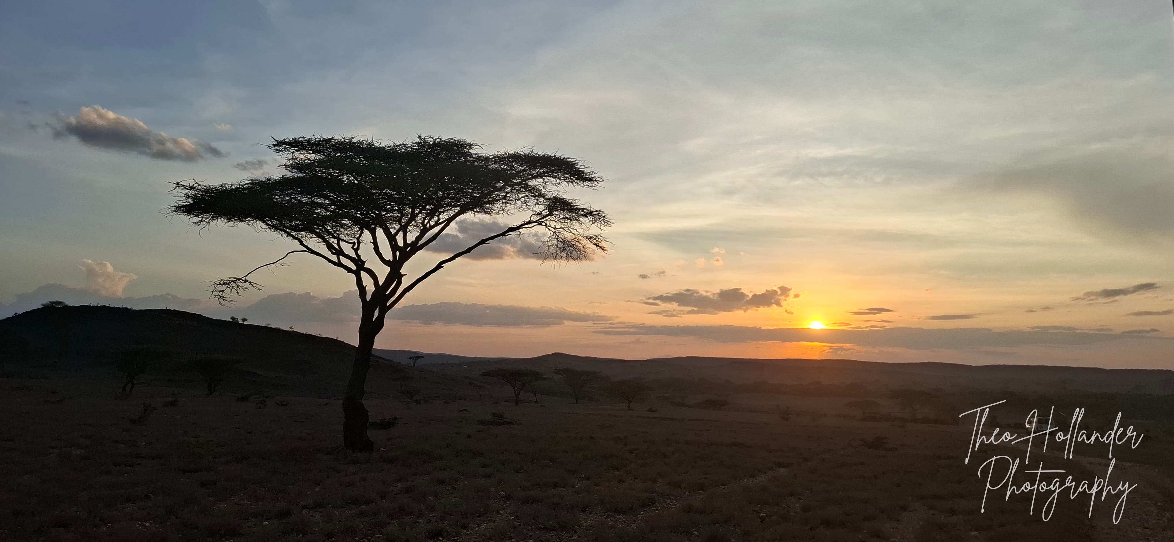 A lone acacia tree silhouetted against a northern Kenya sunset