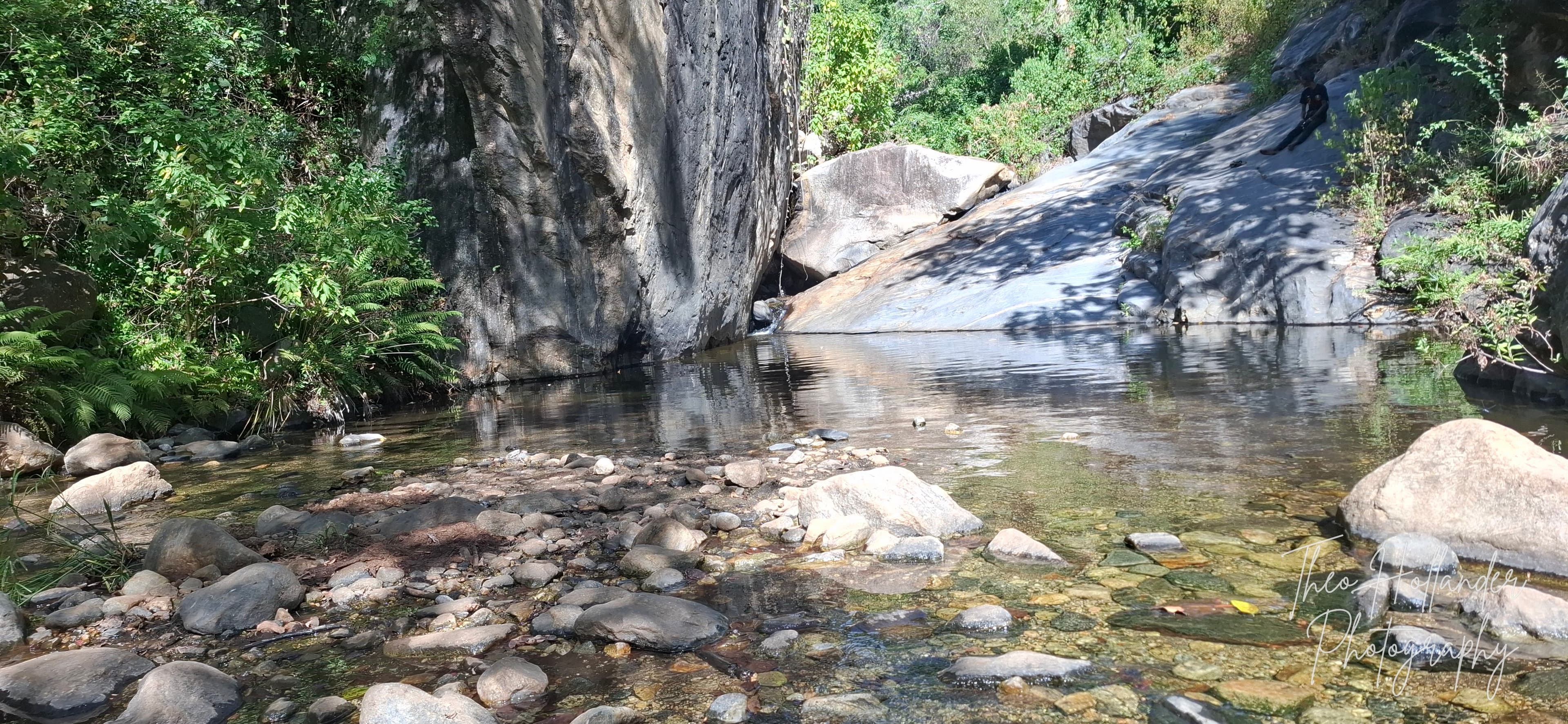 A hidden waterfall tumbling into a forest pool