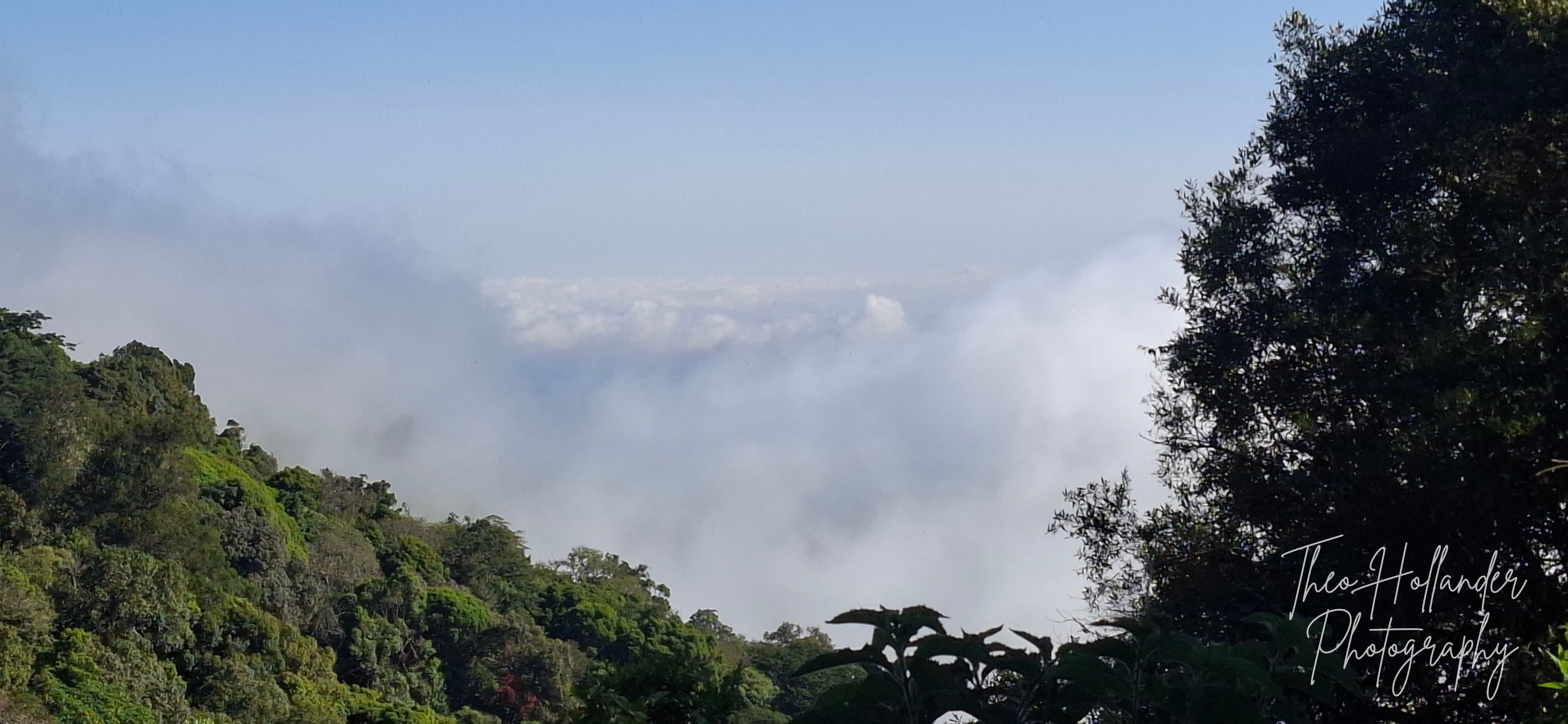 A ridge rising above a sea of clouds at first light