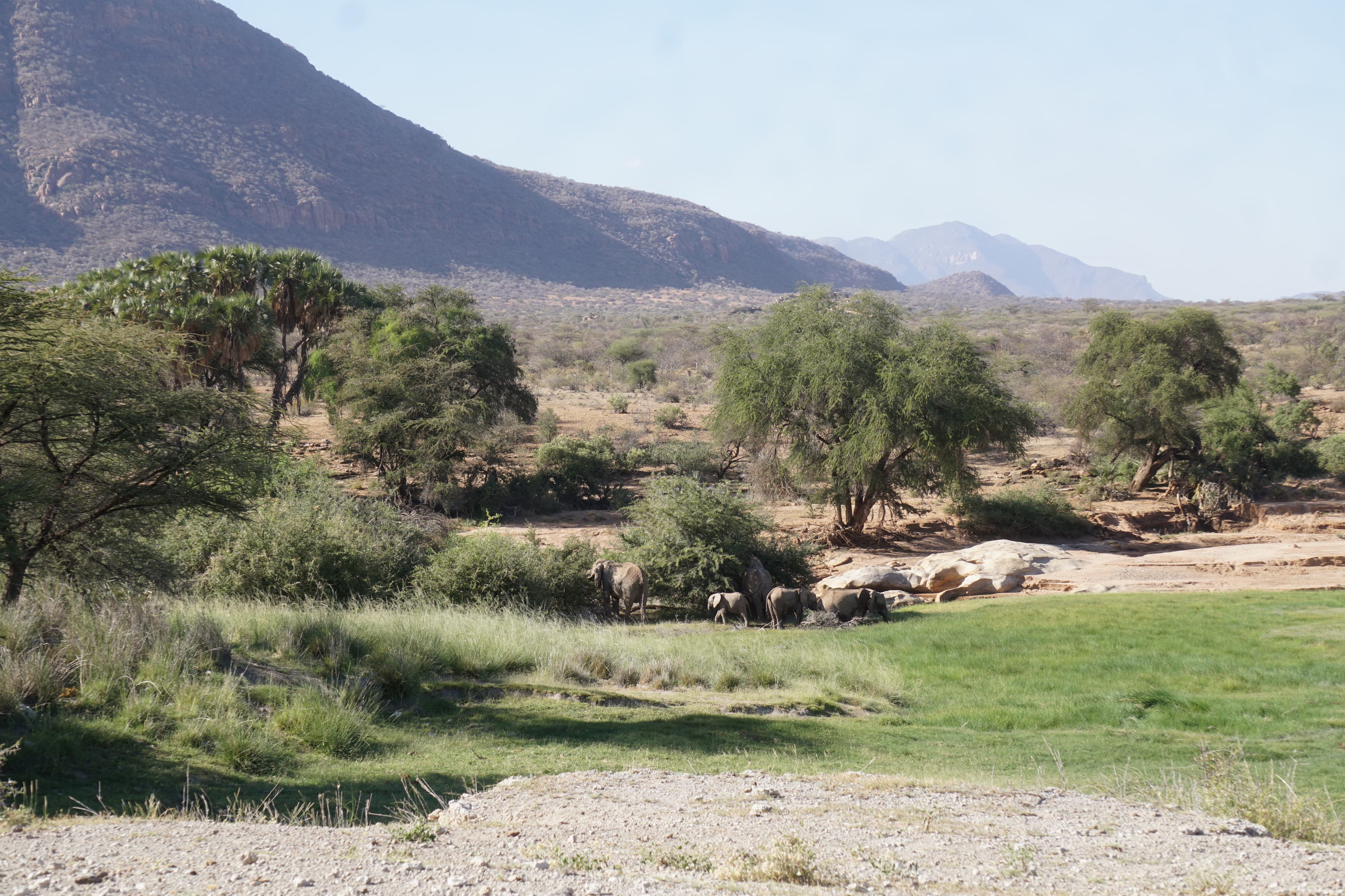 Northern Kenya wilderness — gallery image 23
