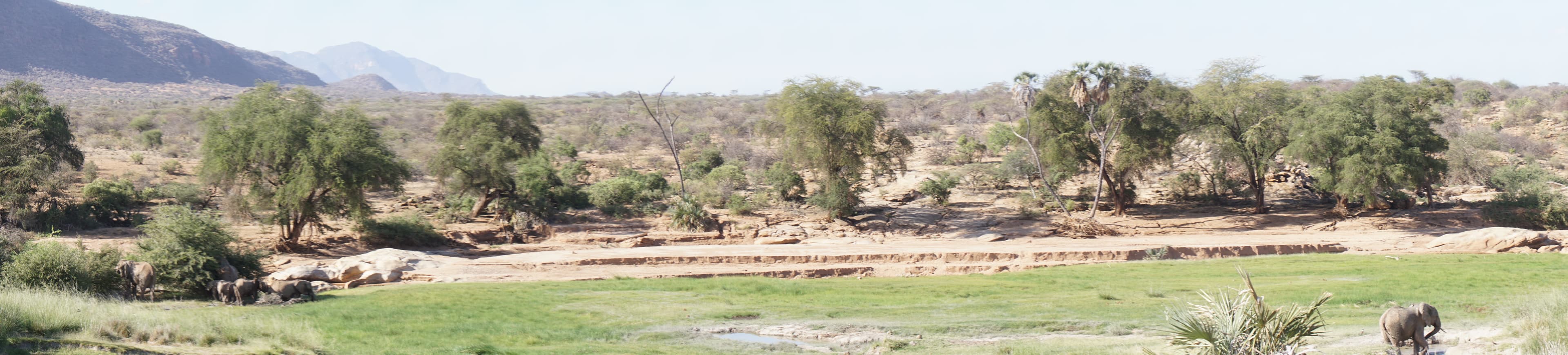 Northern Kenya wilderness — gallery image 25