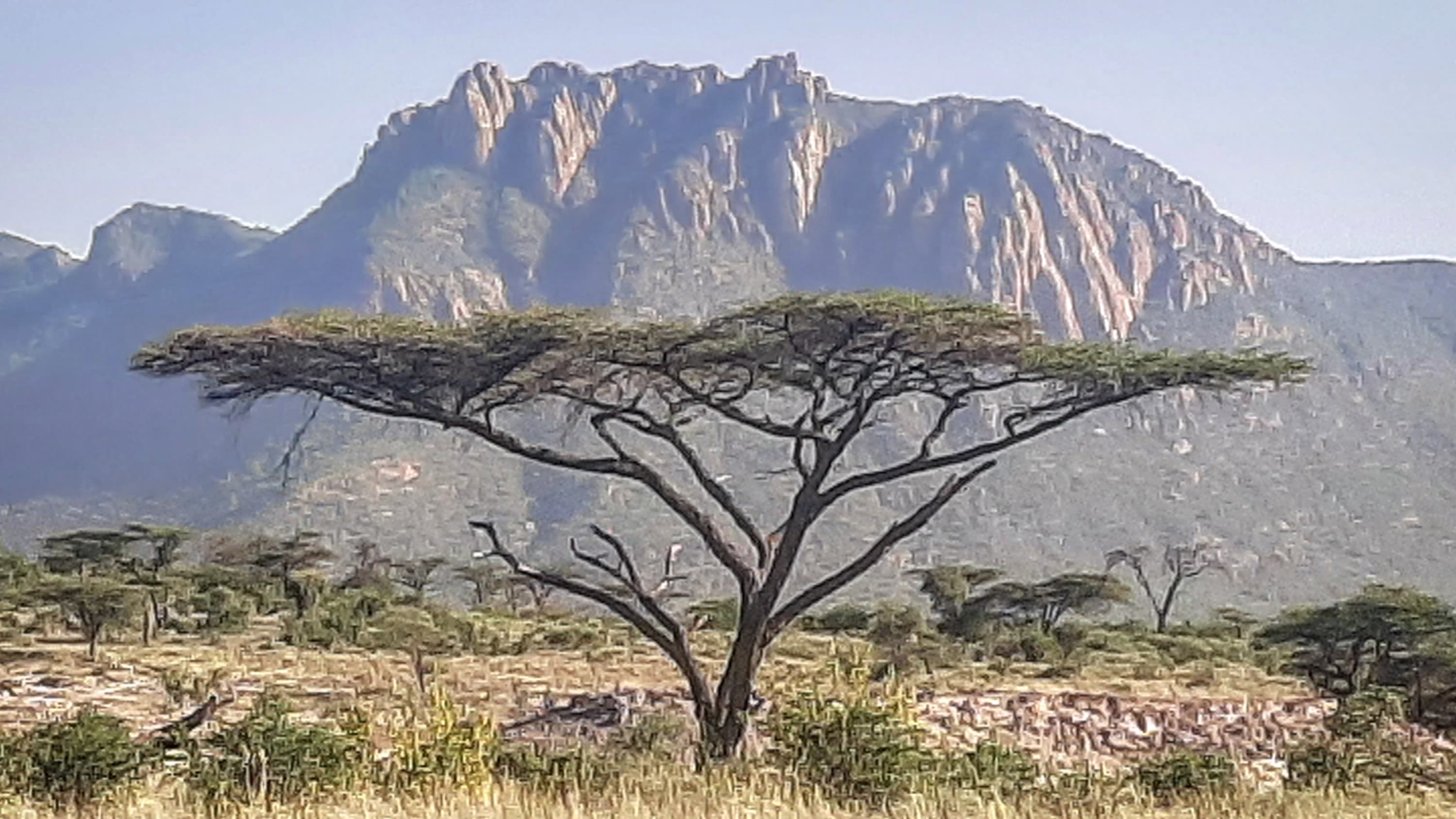 Northern Kenya wilderness — gallery image 22