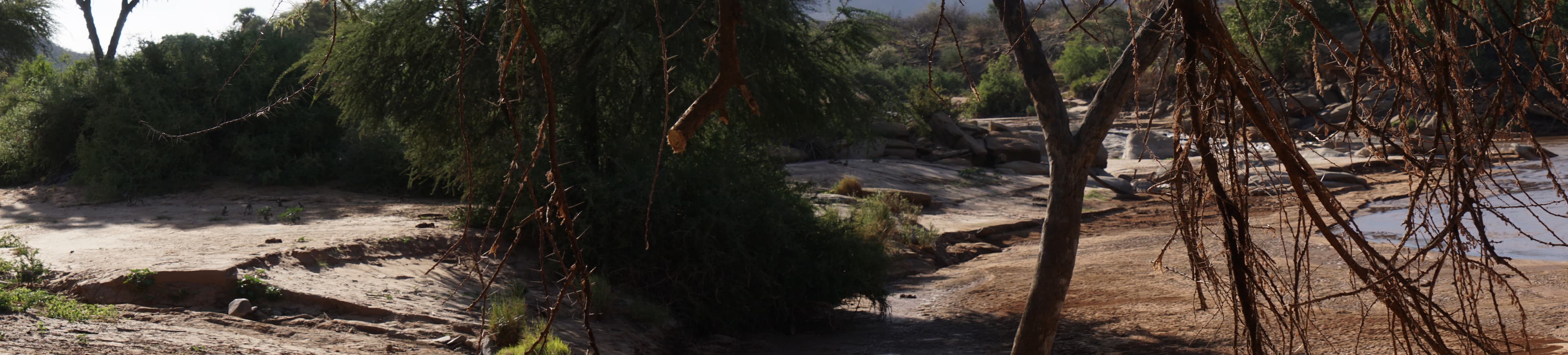 Northern Kenya wilderness — gallery image 24