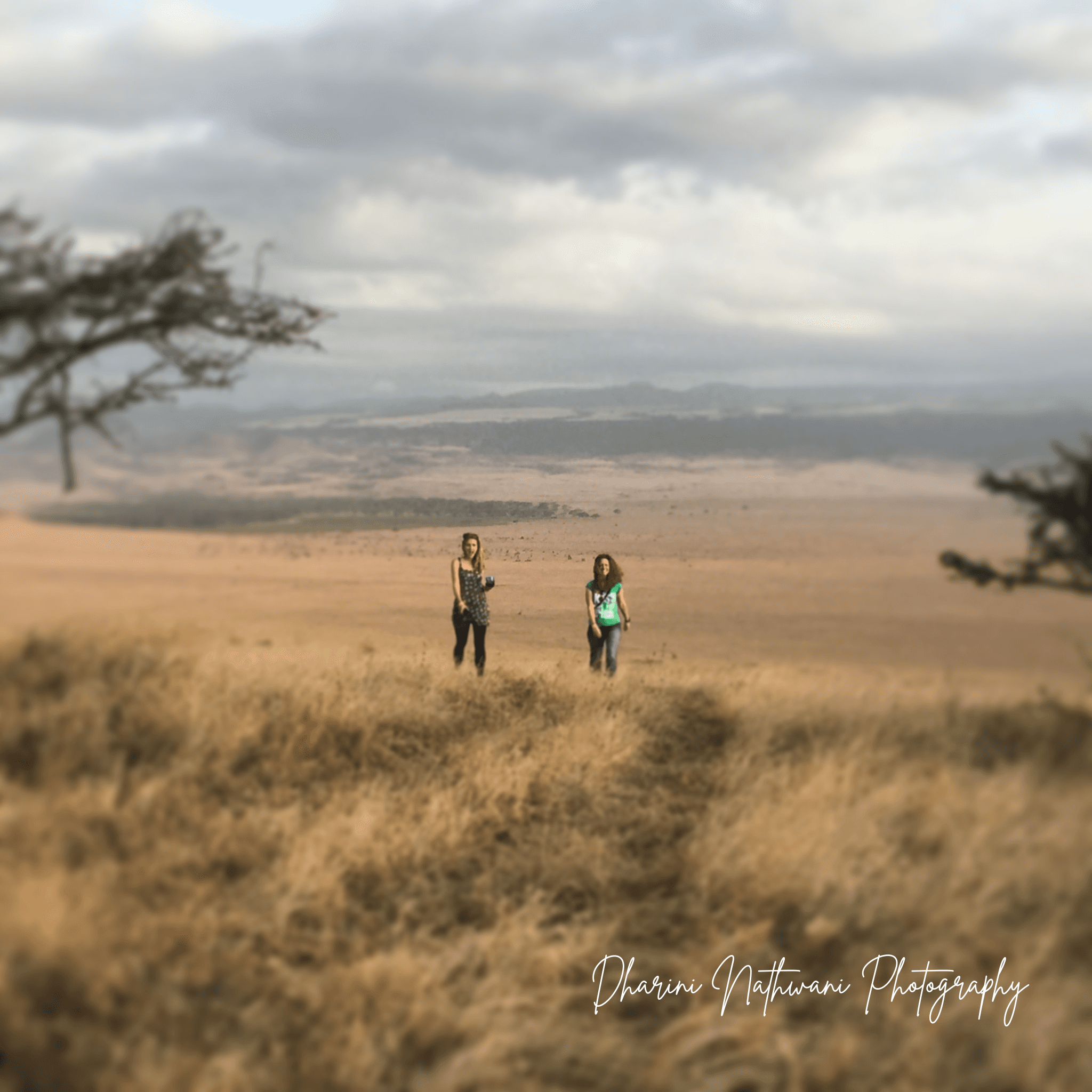 Northern Kenya wilderness — gallery image 2