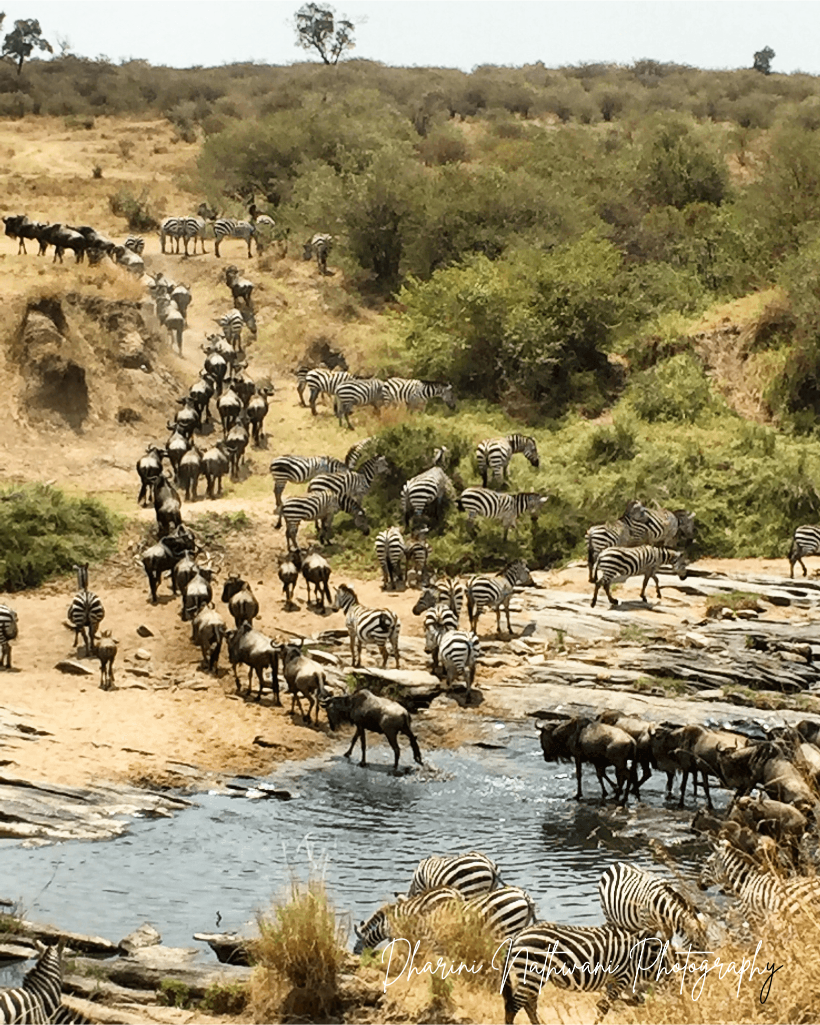Vast, untamed wilderness at dusk in East Africa