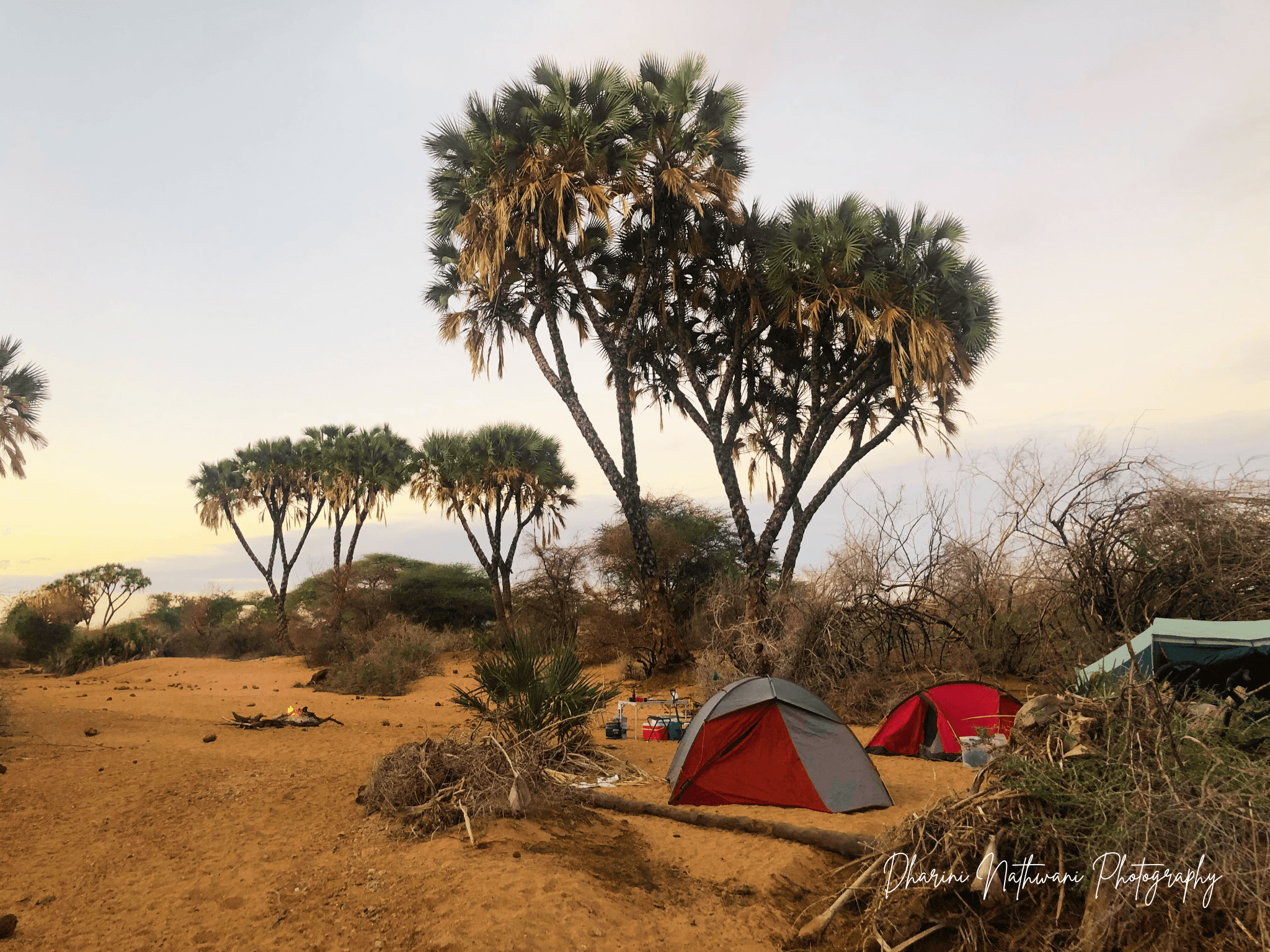 Northern Kenya wilderness — gallery image 7