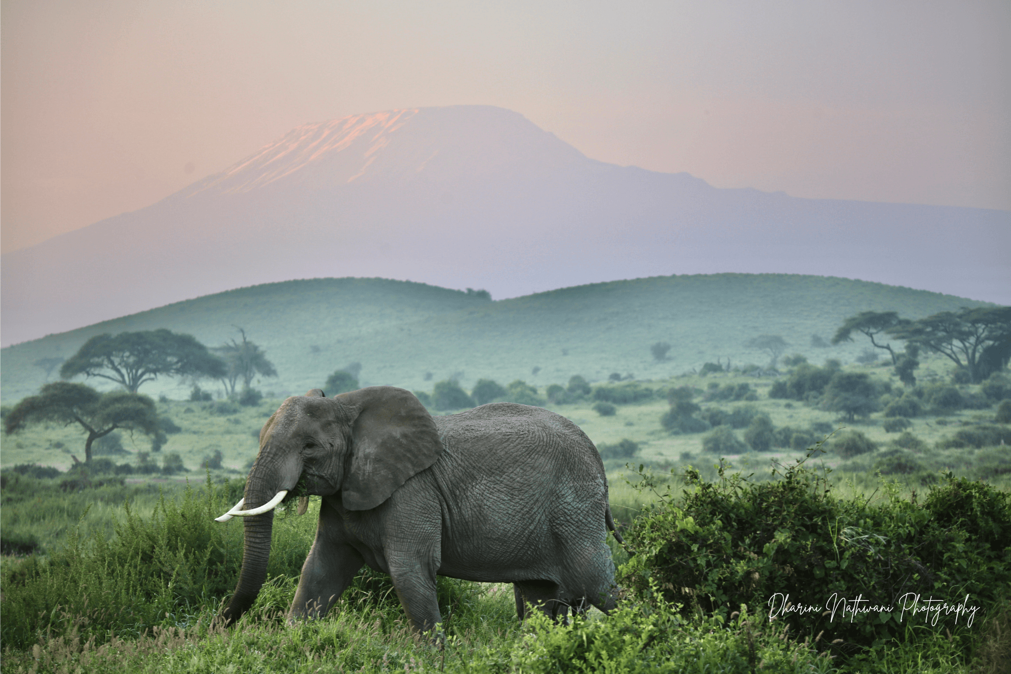 Wild Camping — northern Kenya wilderness