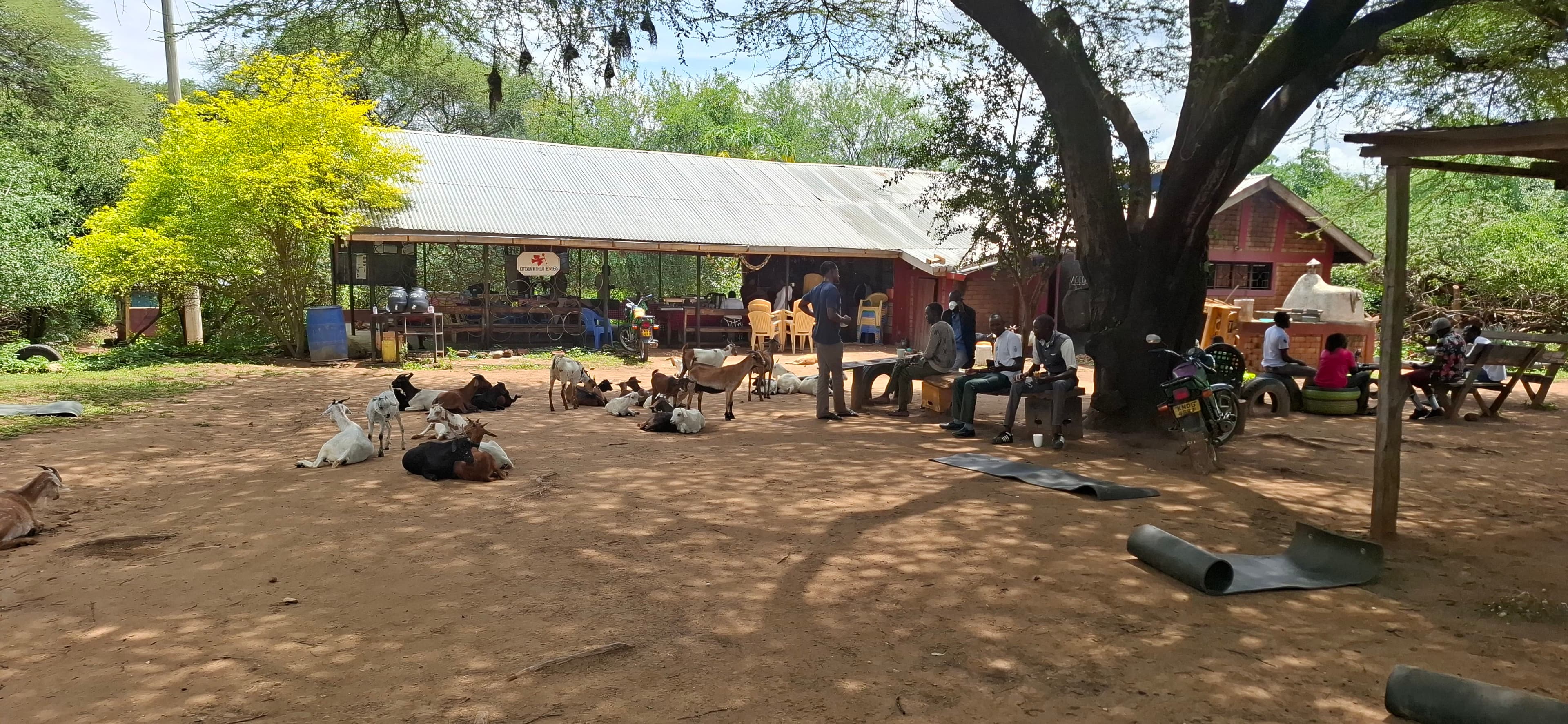 Calabash – Orwa campsite, West Pokot