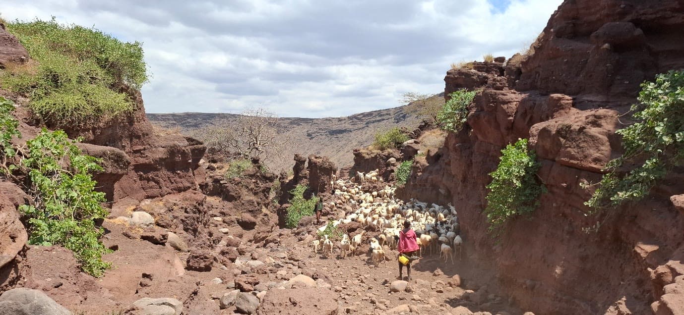 Goji Dera campsite, Isiolo