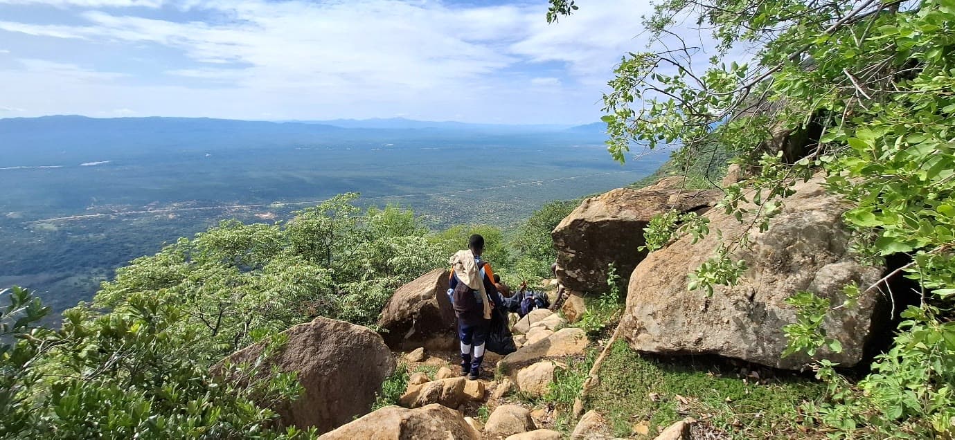Highland forest on the slopes of Mount Mtelo, West Pokot's highest peak