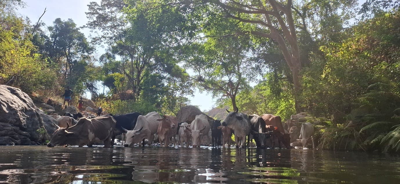 Ndoto Mountains – Cow Bedroom campsite, Samburu