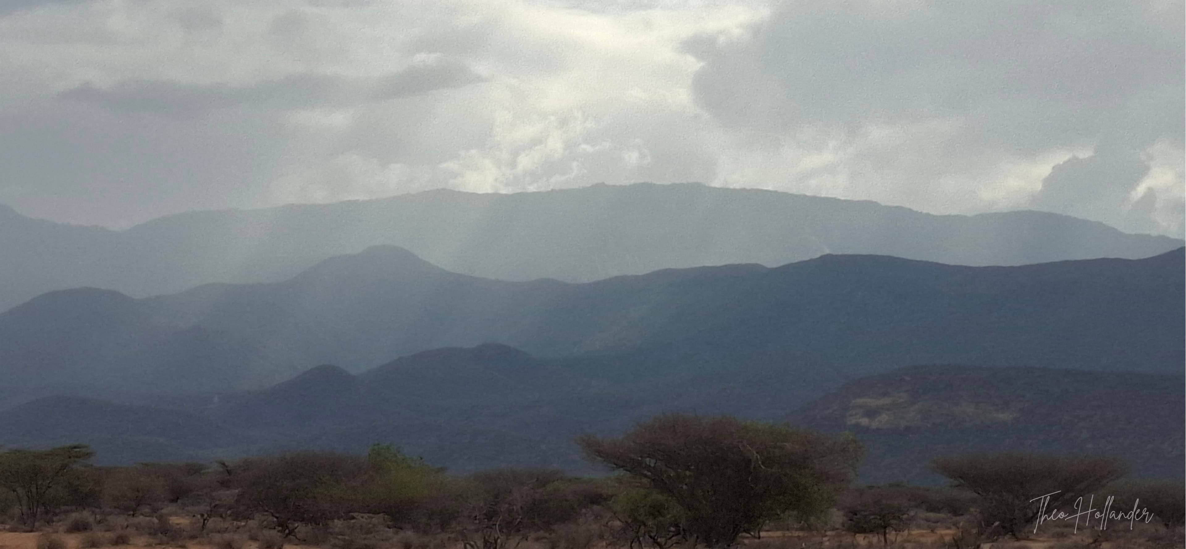 Montane forest on Mount Nyiro, a sacred mountain for the Samburu