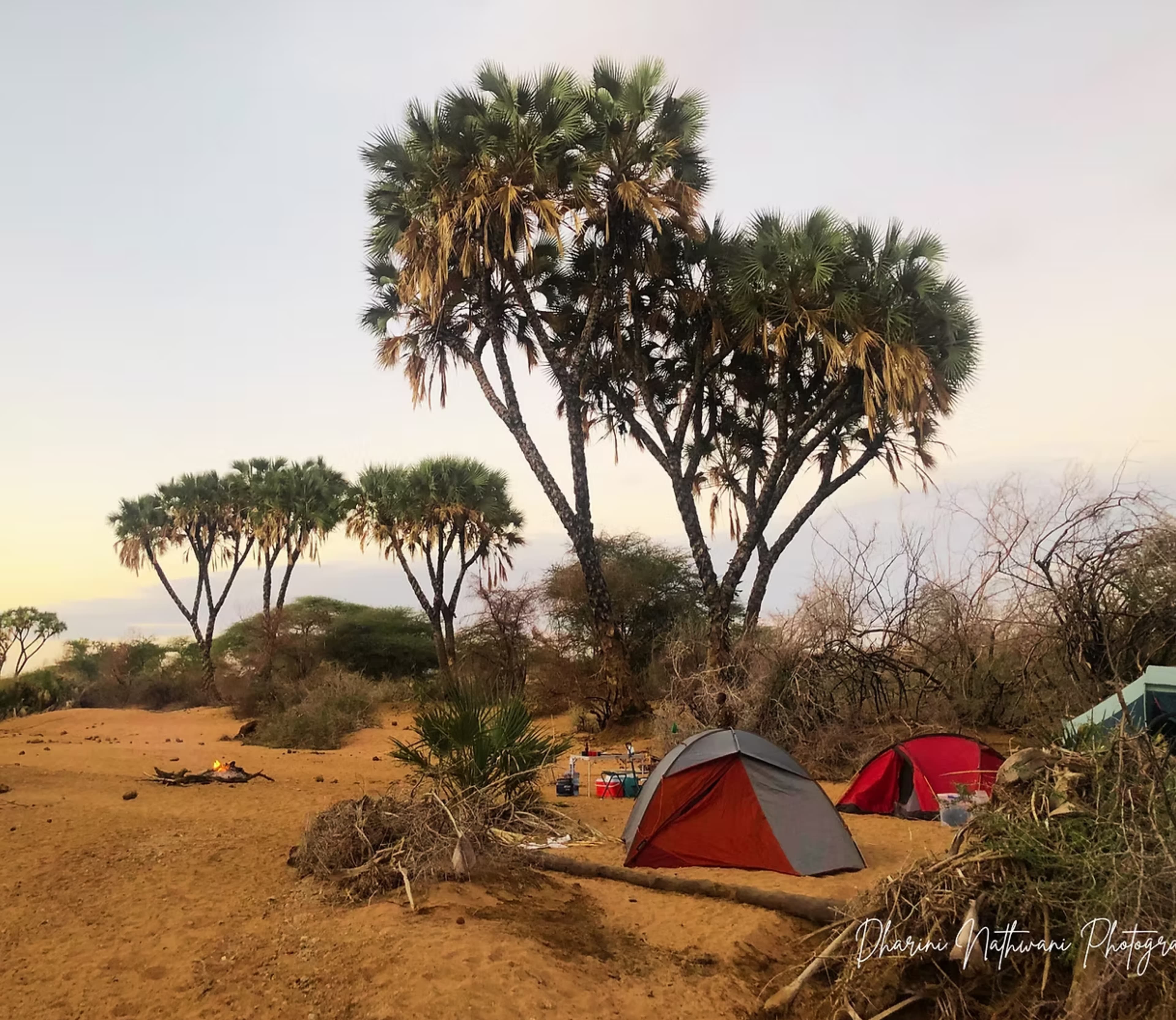 Sera Conservancy – Kisima Hansini Campsite campsite, Samburu