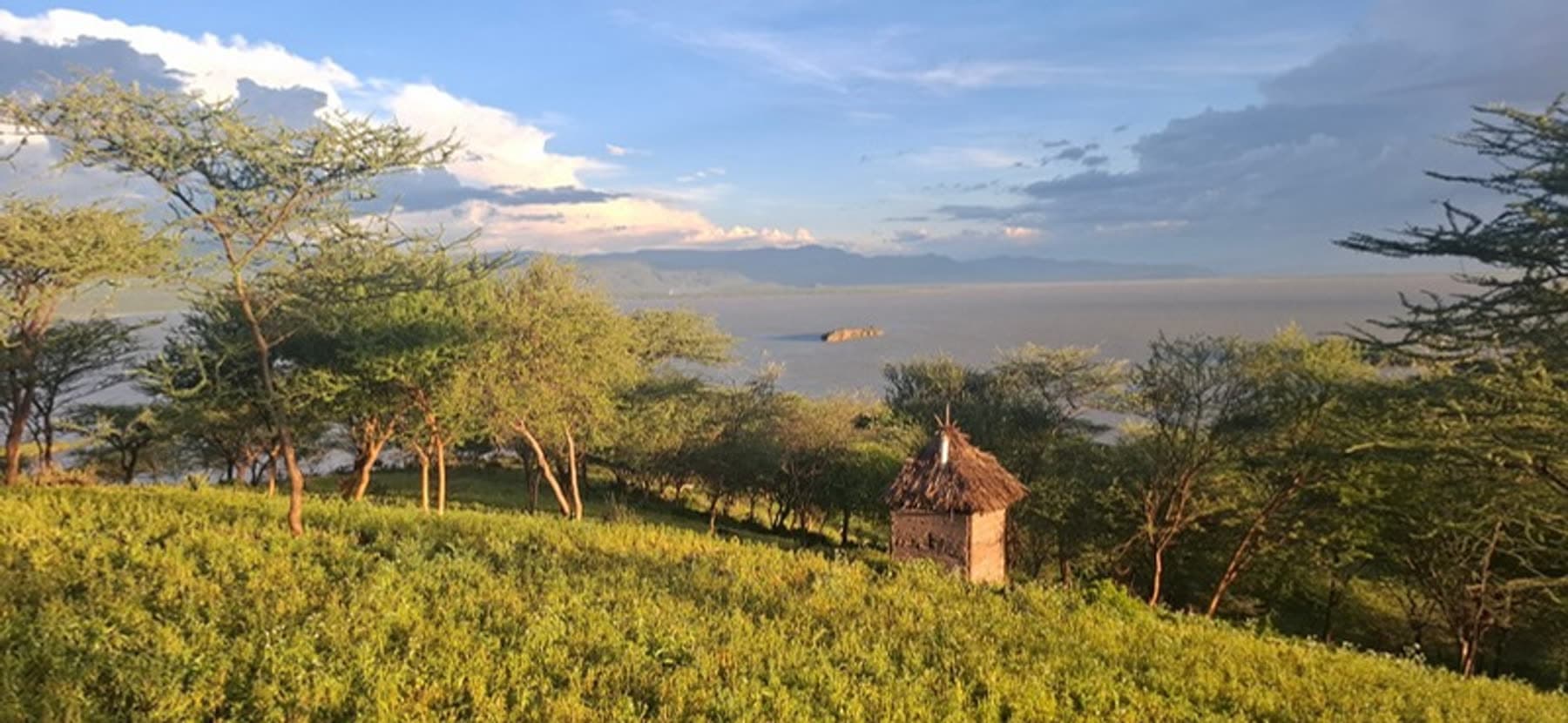 A thatched hut on a green hillside overlooking Lake Baringo
